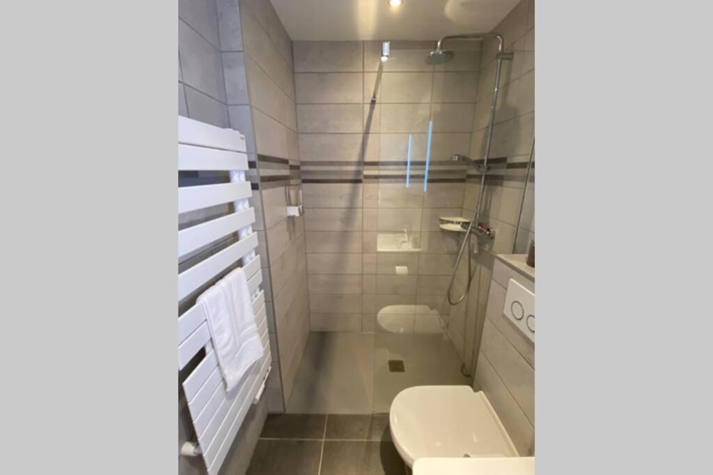 Le Continental Beau T2 Plein Centre + Parking Apartamento Annecy Exterior foto