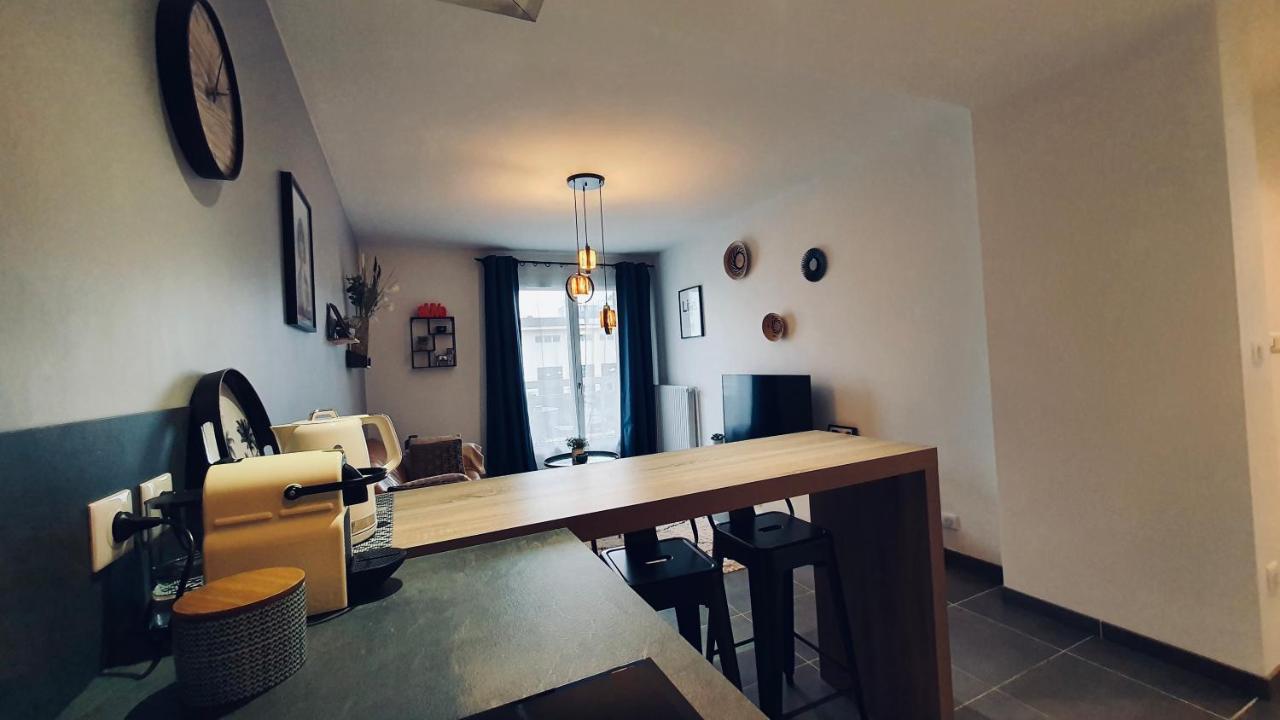 Le Continental Beau T2 Plein Centre + Parking Apartamento Annecy Exterior foto